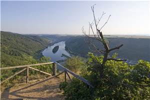 Wandern auf dem
Traumpfad Schwalberstieg