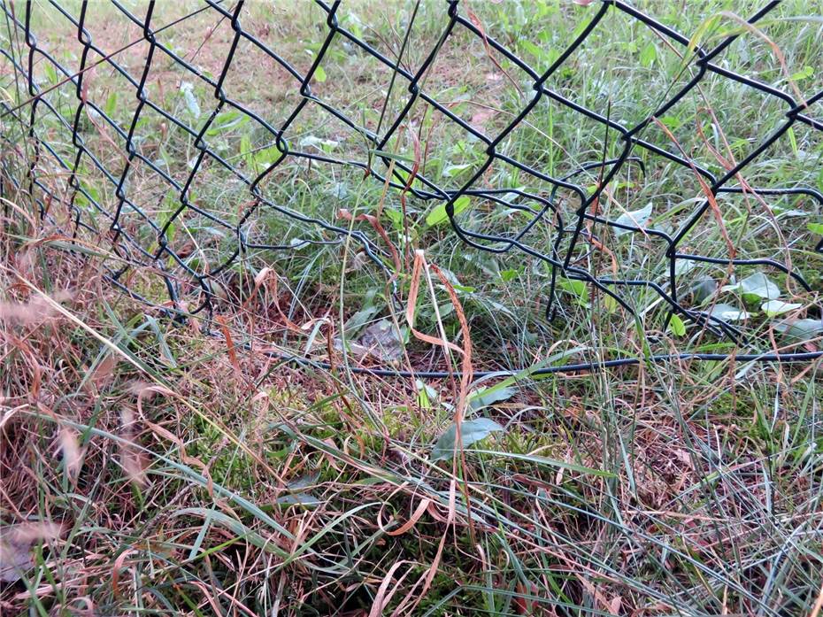 Kreispolizeibehörde Euskirchen zur Beschädigung des Maschendrahtzaunes an der Wasseraufbereitung der