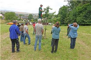 Erfolgreicher Start der Sommerschnittkurse