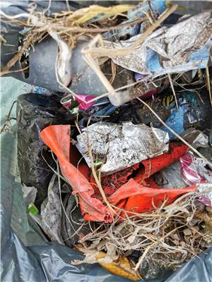 Schon seit fünf Jahren
beim Worldcleanupday dabei