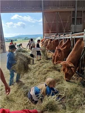 Auf „du und du“
mit Huhn und Kuh