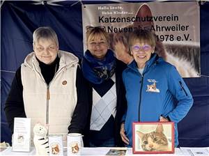 Infostand in Ringen zur 50-Jahrfeier der Grafschaft