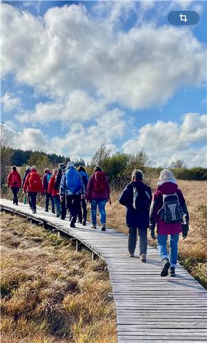 Den Herbst im
Hohen Venn entdeckt