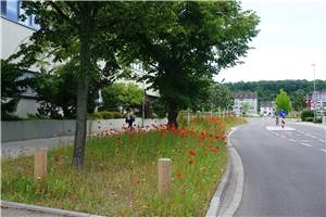 Blühstreifen im Stadtgebiet werden gemäht