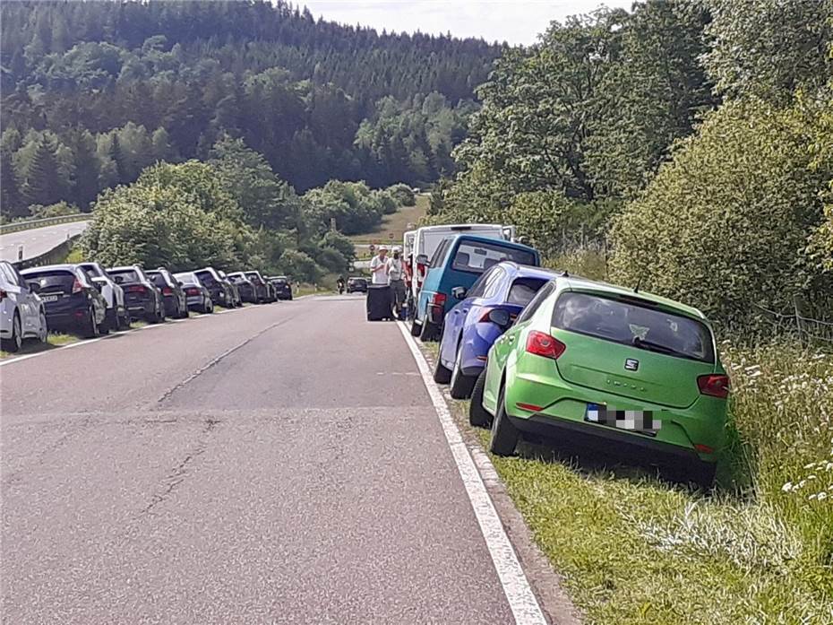 Falschparker bei Rock am Ring: Nachahmung nicht empfohlen