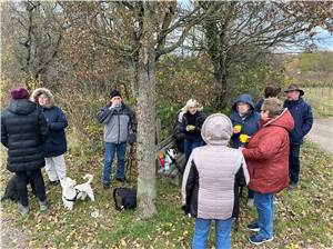 Letzter Spaziergang