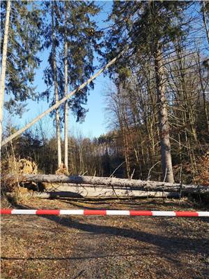 Nach Sturmtief Zoltan: Im Wald droht weiterhin Gefahr