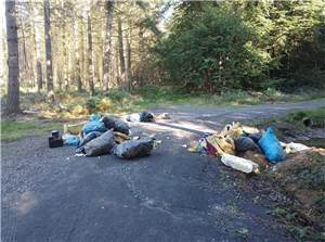 Müll einfach im Wald entsorgt - Polizei sucht nach Hinweisen