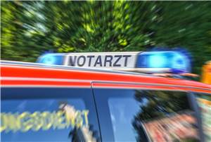 Auto überschlug sich: Fahrer und Beifahrerin verletzt