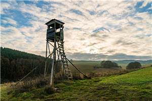 Westerwald: Hochsitz abgesägt 