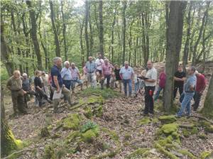 Historische Waldnutzung
und moderne Forstwirtschaft