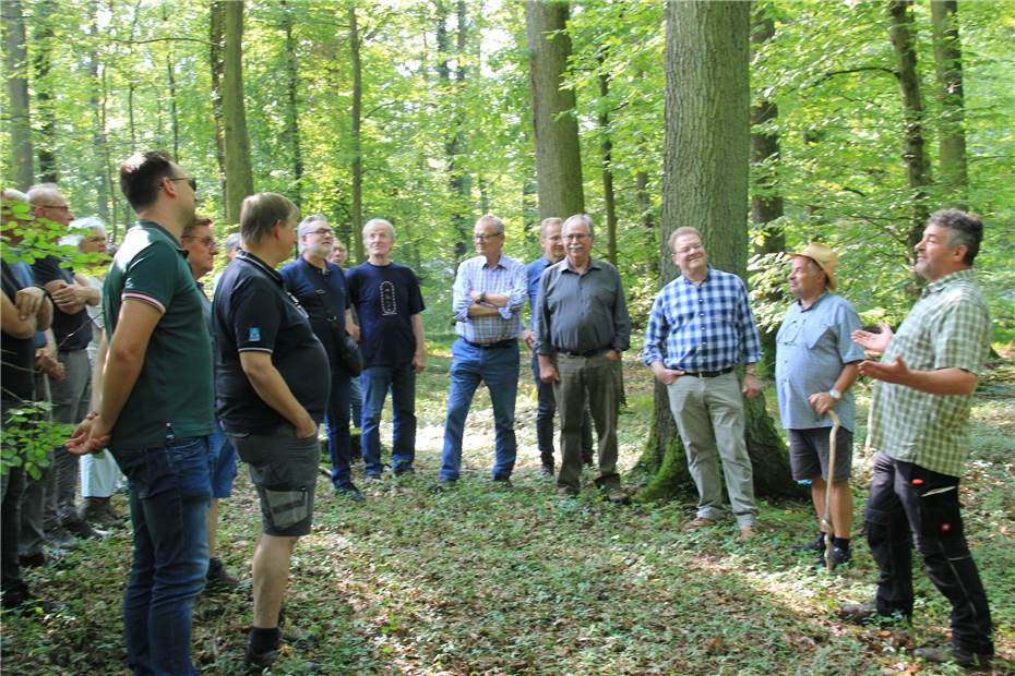 Auf dem Harterscheid stehen bis zu 280 Jahre alte Eichen