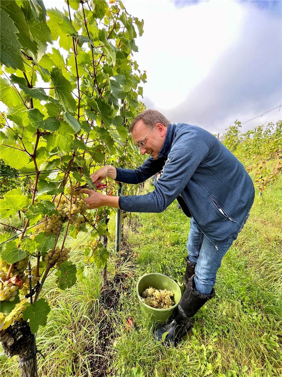 Oster stärkt Moselwinzern den Rücken