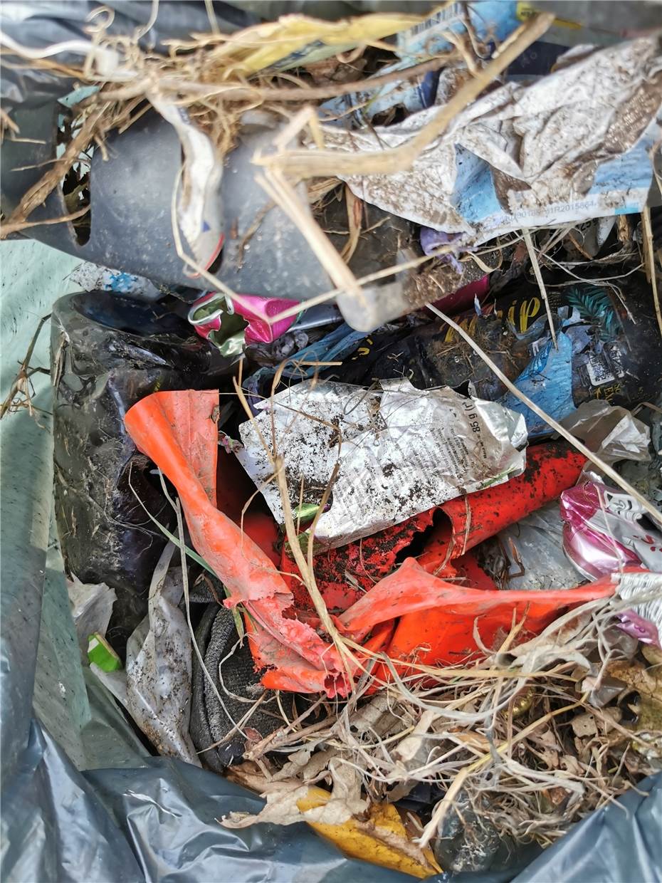 Schon seit fünf Jahren
beim Worldcleanupday dabei