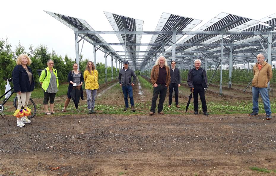 Photovoltaik über Obstbau