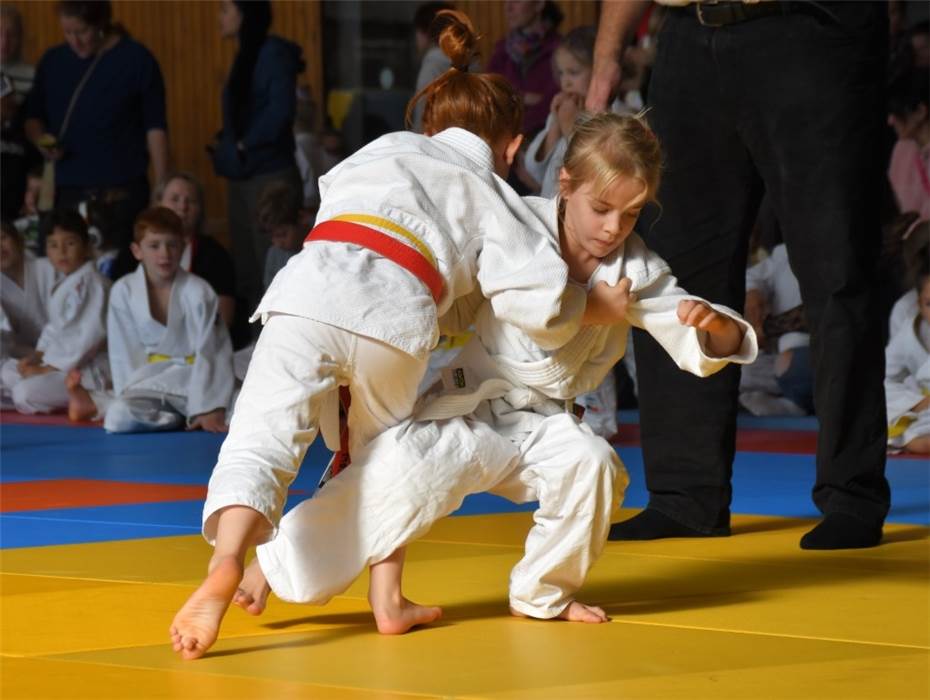 20 Judoka auf dem Treppchen